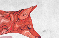 服务器攻击软件